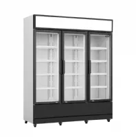 Réfrigérateur professionnel 3 portes vitrées positif 1600 mm - 7455.2110 - combisteel - Combisteel - 7455.2110
