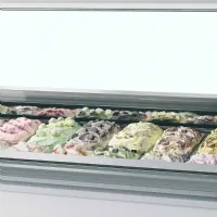 Photo 2 - Vitrine professionnelle à glace 118 l négative 1660 mm - millennium lx12 - tefcold - Tefcold - MILLENNIUM LX12